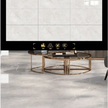 Living and Dining Room Floor Tiles